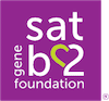 satb2 gene foundation